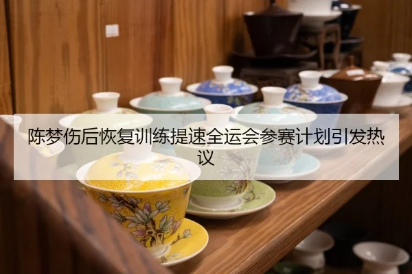 陈梦伤后恢复训练提速全运会参赛计划引发热议